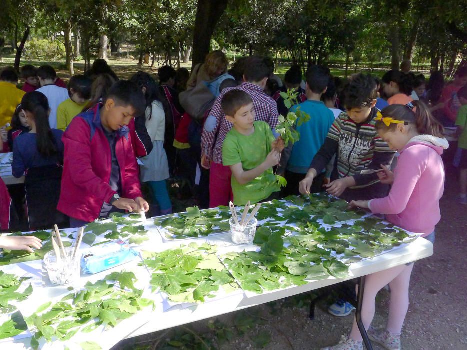 Plantada d''arbres al Parc Bosc de Figueres