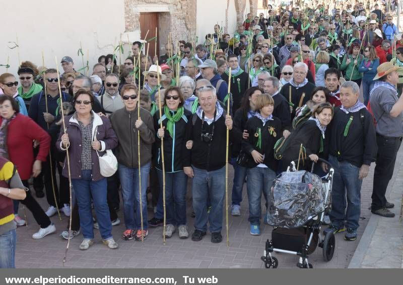 GALERÍA DE FOTOS - Romería Magdalena 2014 (4)