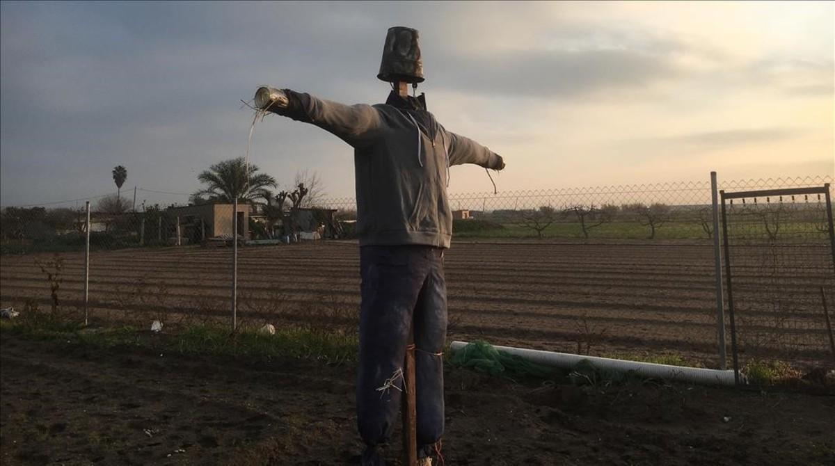 Escenarios de ’SQE’: el huerto de Elías, en la zona agrícola de Gavà, con el espantapájaros.