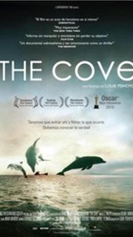 The cove