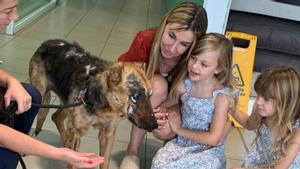 La gossa Rala, amb la seva nova família, que la va adoptar després d’haver sigut cremada a la protectora. | EMPORDÀ