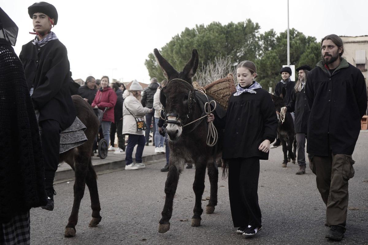Festa dels Traginers de Balsareny