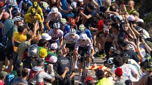 Los favoritos de la Volta 2024, en la subida a Pradell. Los favoritos de la Volta 2024, en la subida a Pradell.
