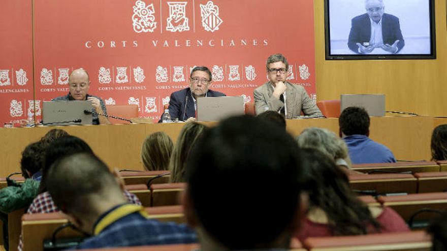 Blasco durante su declaración de esta mañana por videoconferencia