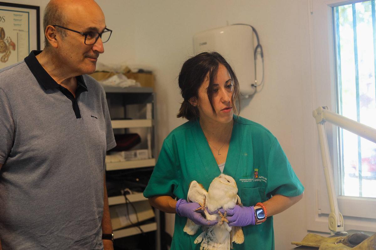 El delegado de la Junta observa una lechuza que sostiene la auxiliar veterinaria