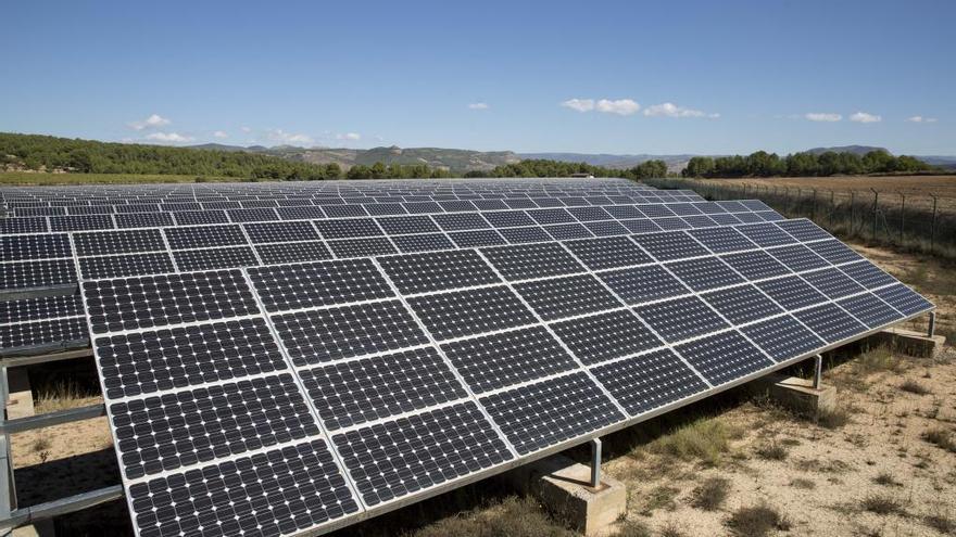 Un huerto solar, en una imagen de archivo