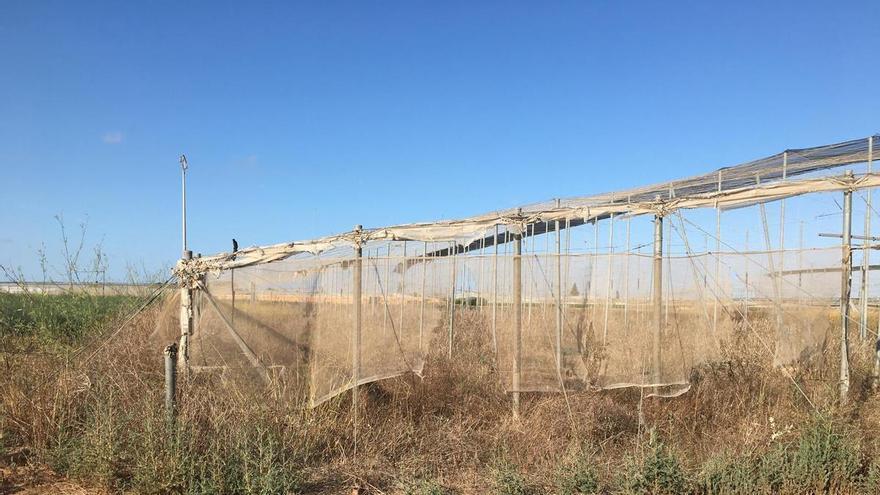 El inminente programa de nitratos arrasa con 9 de cada 10 agricultores de la Región de Murcia