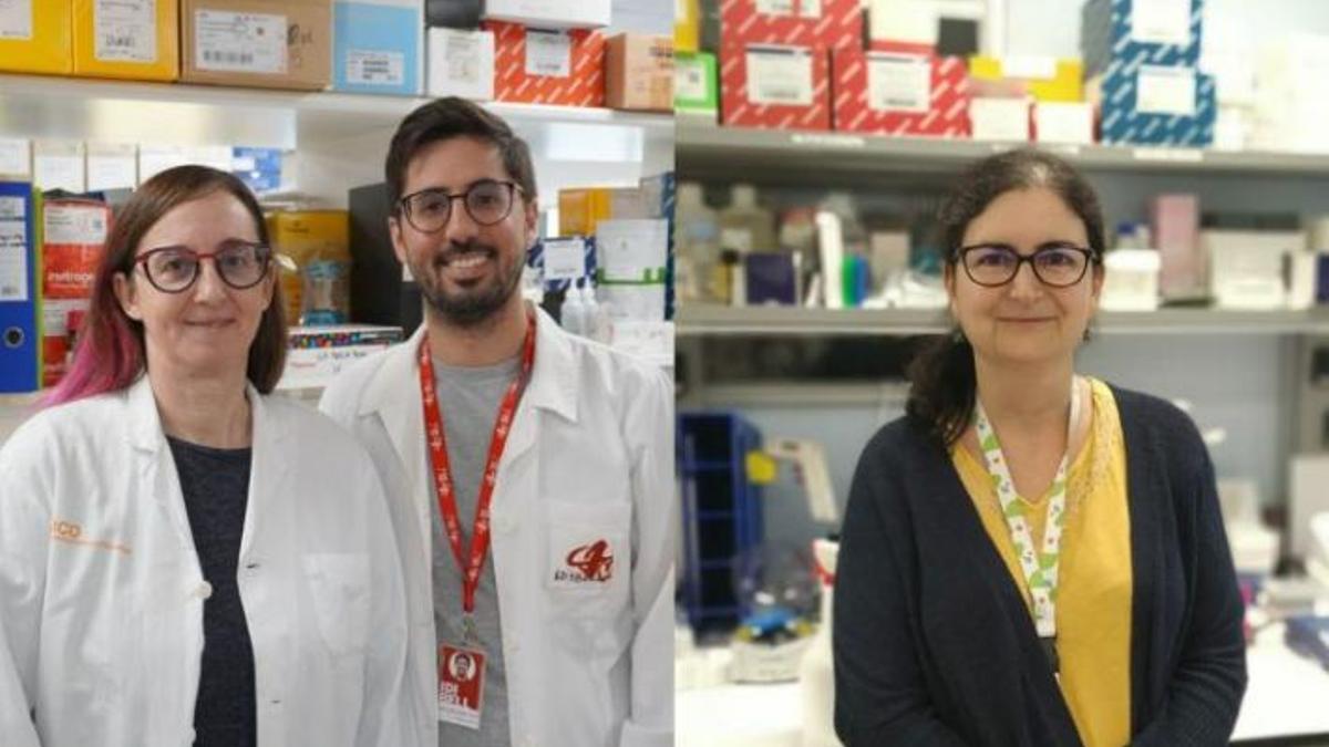 Investigadores del estudio.