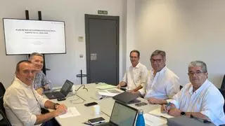Endesa invertirá 750.000 euros en el refuerzo de las infraestructuras eléctricas de Puente Genil