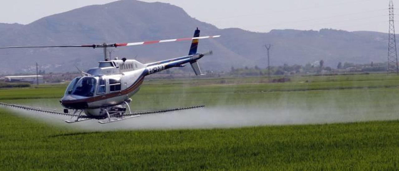 Un helicoptero fumiga los campos de arroz de la Ribera Baixa contra las larvas del mosquito tigre en una imagen de archivo.