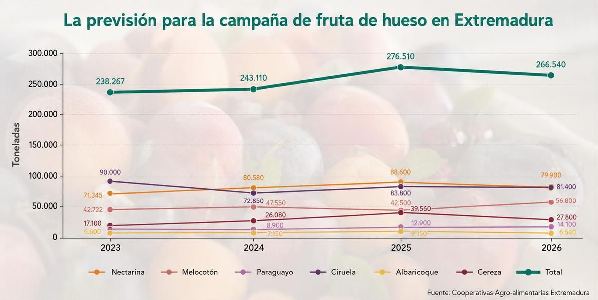 Previsión para la campaña de fruta de hueso en Extremadura.