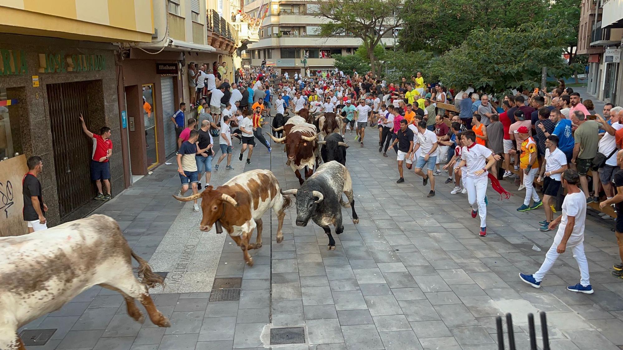 Galería: La Vall d'Uixó disfruta con su histórico encierro con siete Miura