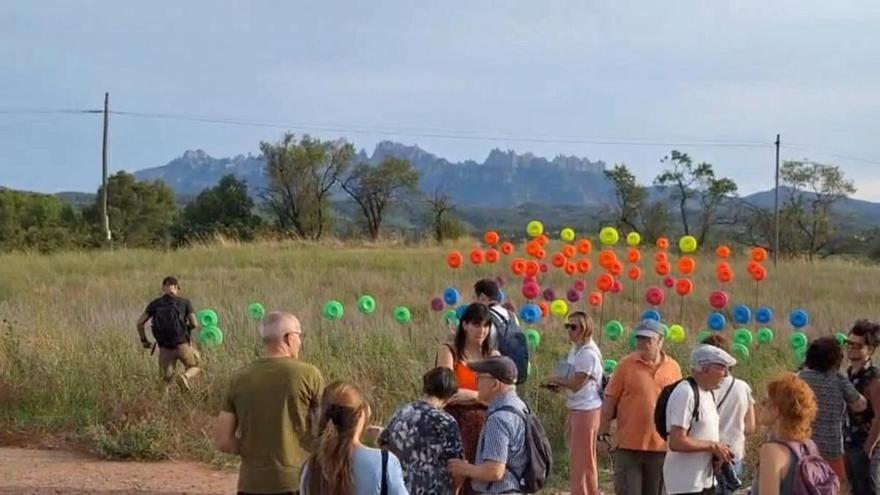 Un petit tast del festival Microscopies 2026