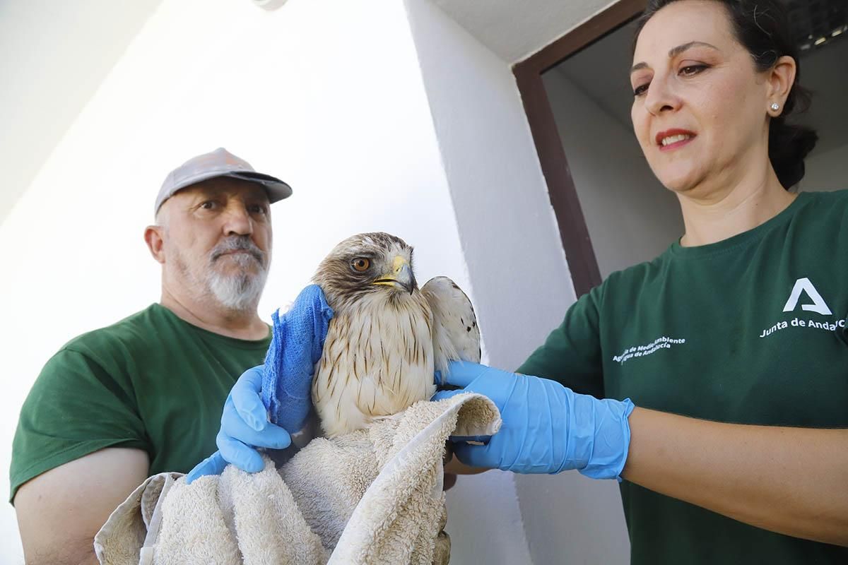 El Centro de recuperación de especies amenazadas de Córdoba, en imágenes