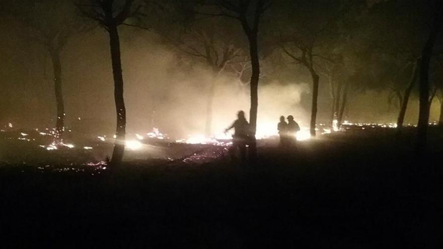 Un incendio quema el Espacio Natural de Doñana