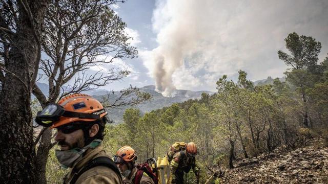 Bombers apagant el foc de Paüls (Baix Ebre), l’any passat. | JORDI OTIX