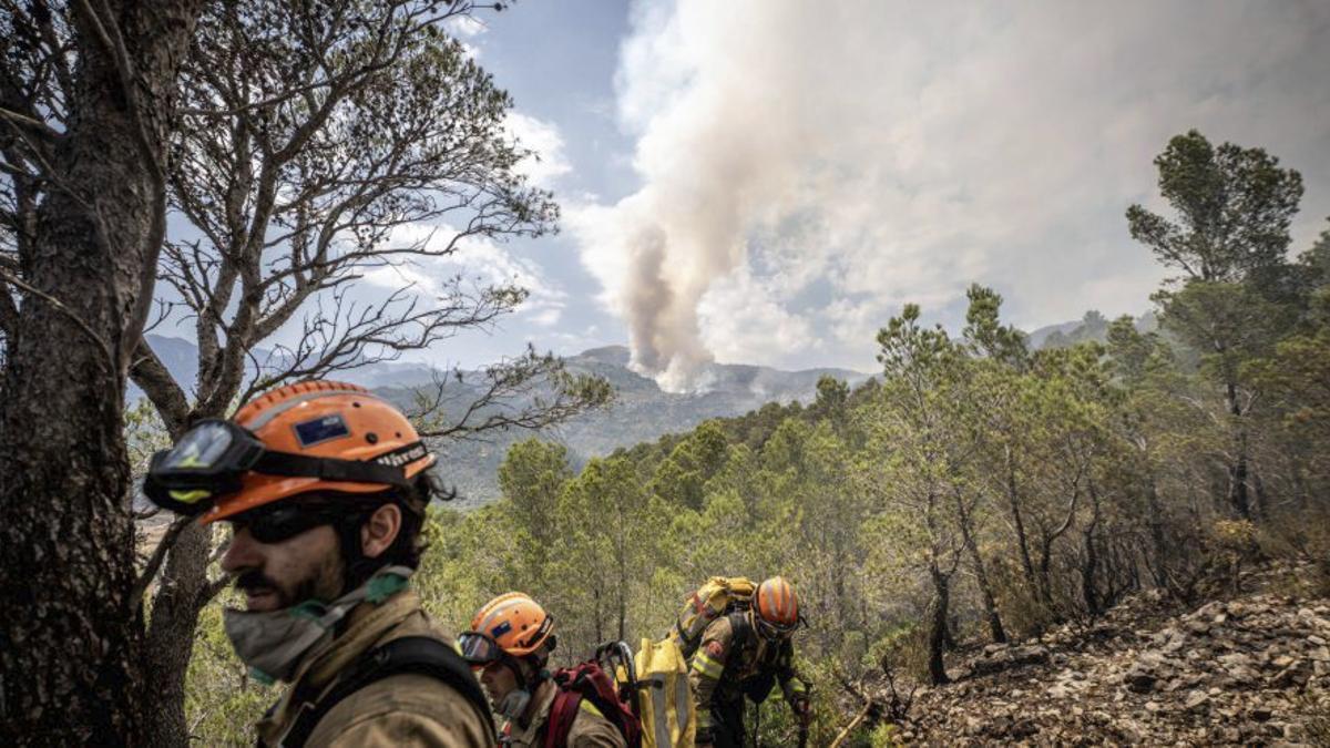 Bombers apagant el foc de Paüls (Baix Ebre), l’any passat. | JORDI OTIX
