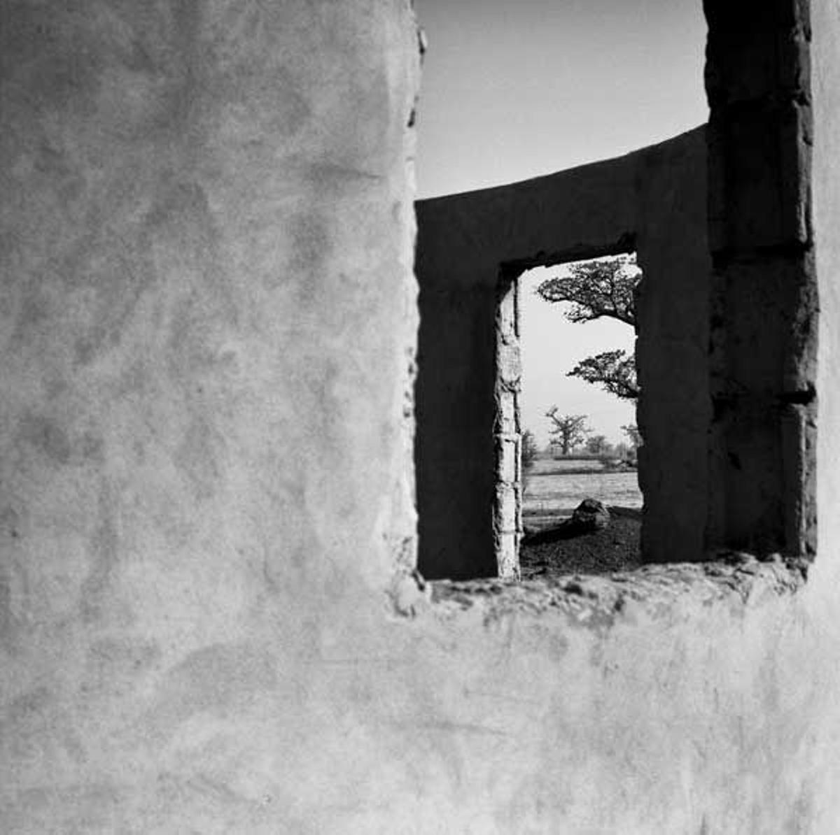 Vista de algunos baobabs a través de una construcción típica en la Reserva Natura Bandia.