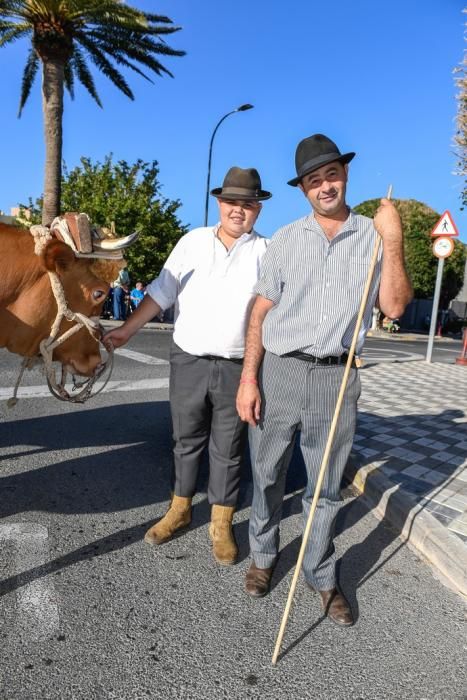 ROMERIA NTRA SÑA DEL ROSARIO