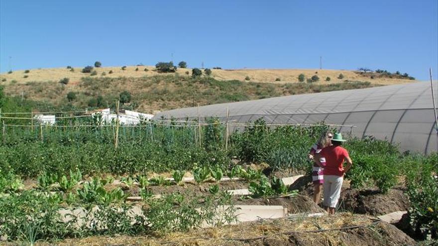Adesval impartirá cursos de agricultura ecológica