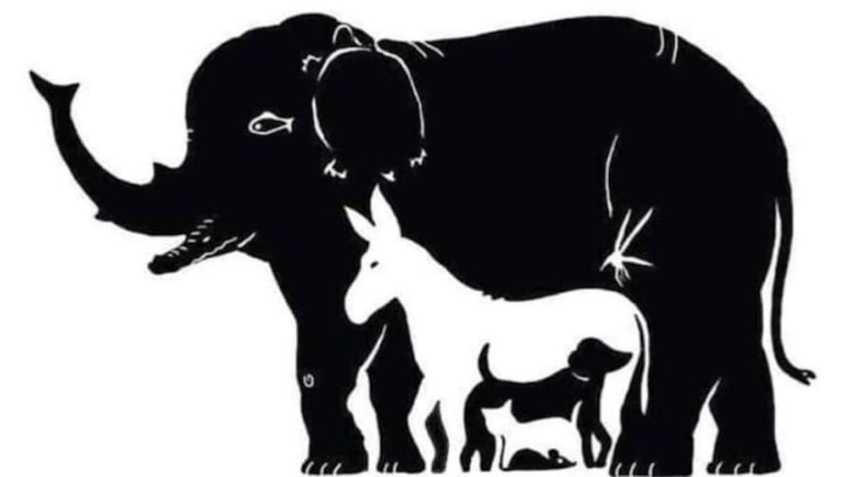 Acertijo visual de animales