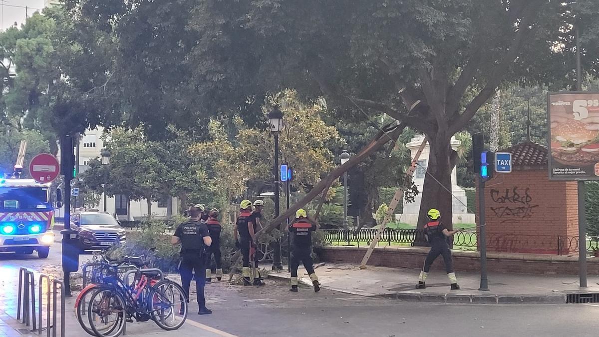 Los Bomberos trabajan en la retirada de la rama