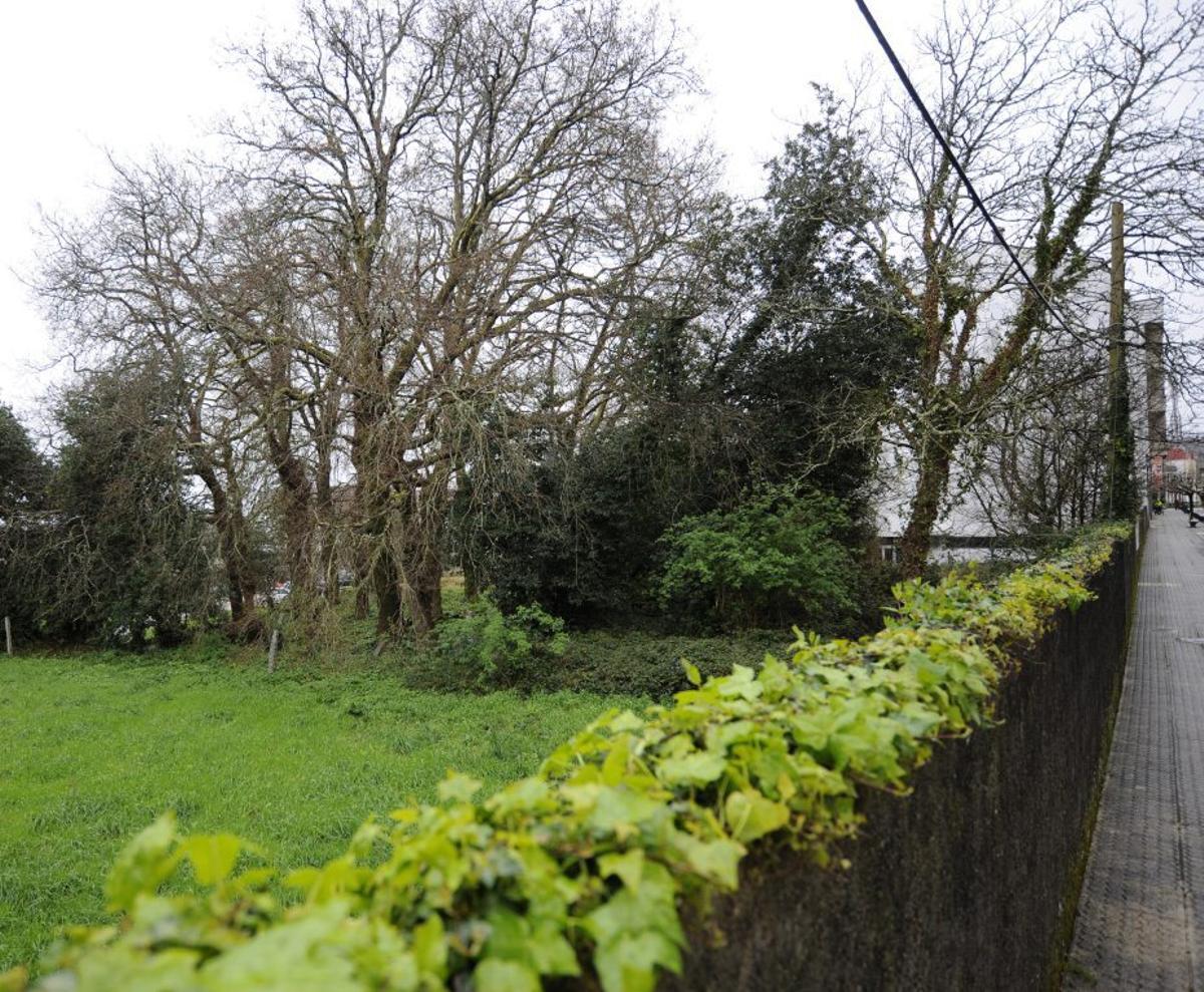 El espacio que se destinará a nueva zona de esparcimiento.  | BERNABÉ/JAVIER LALÍN
