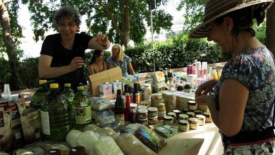 Mercado ecológico en Olivares.