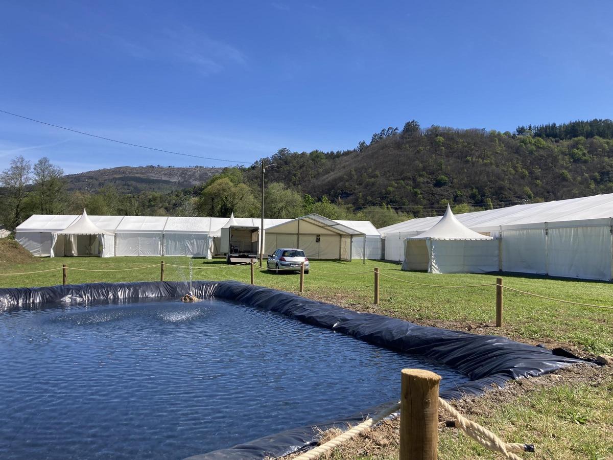 Carpas y piscinas instaladas en el entorno del Monasterio de San Salvador de Cornellana