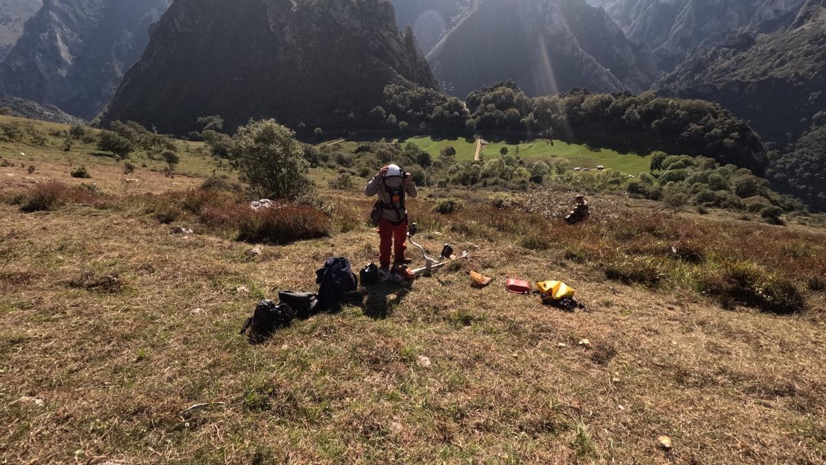 Actuaciones de desbroce en el Parque Nacional de los Picos de Europa