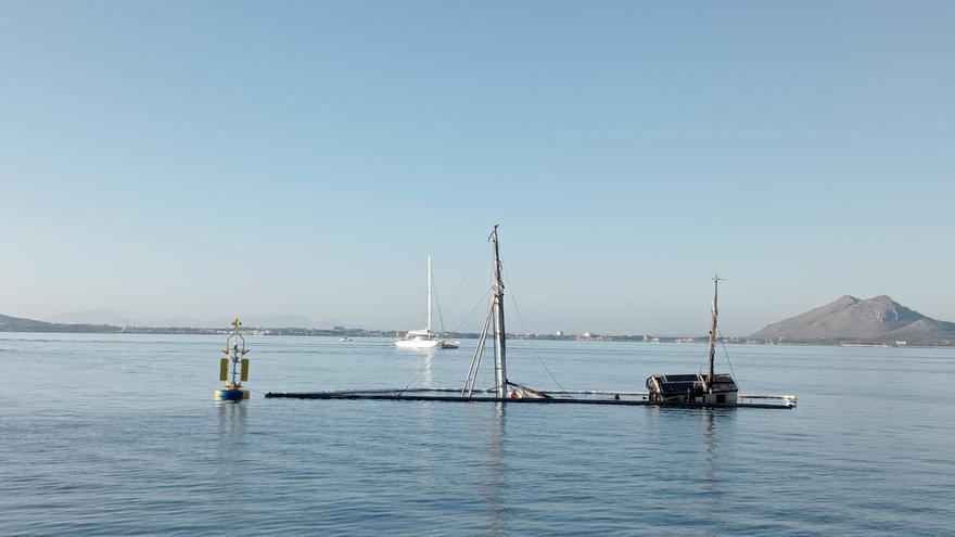 Pollença: Ninguna institución asume la competencia para retirar el barco hundido en el Moll