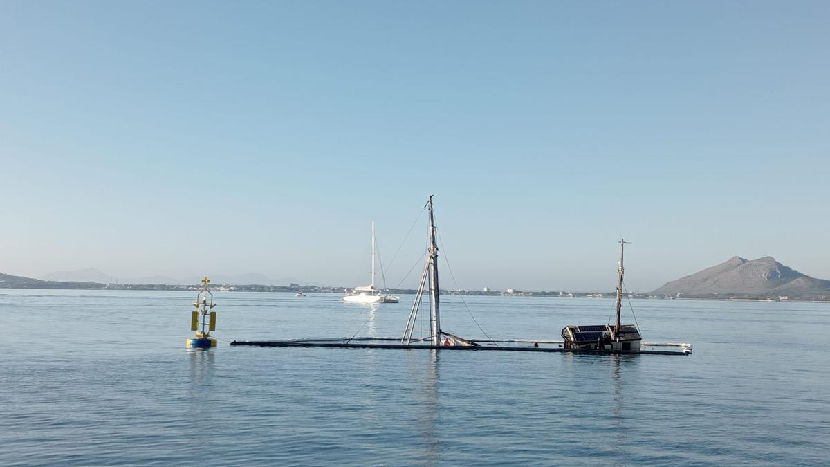 El barco se hundió a mediados de junio cerca del club náutico del Port de Pollença.