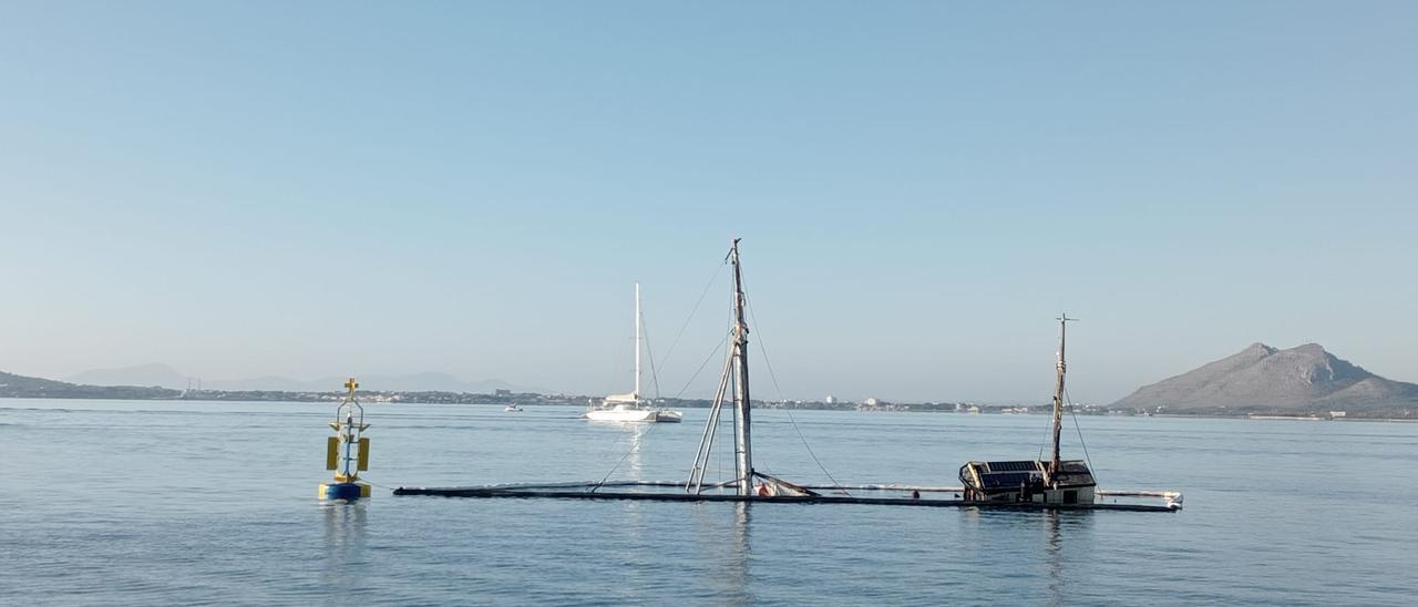 El barco se hundió a mediados de junio cerca del club náutico del Port de Pollença.