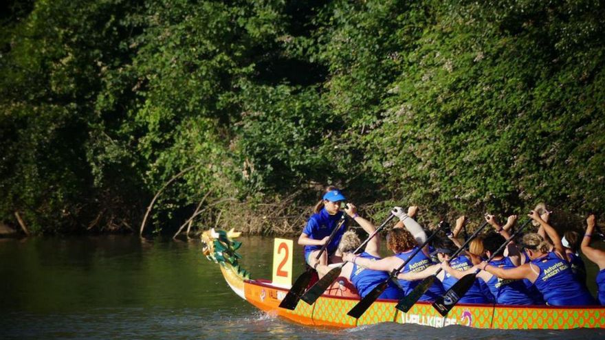 Diferentes momentos del Asturias Dragon Boat en su última competición en Valladolid. | D. B. A.