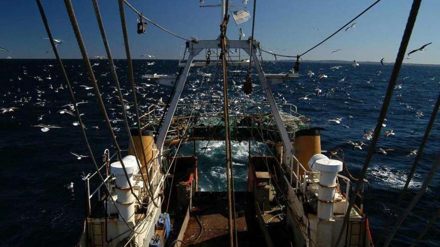 Un buque arrastrero en la zona de pesca del caladero argentino. // Martín Brunella (Vida Silvestre)