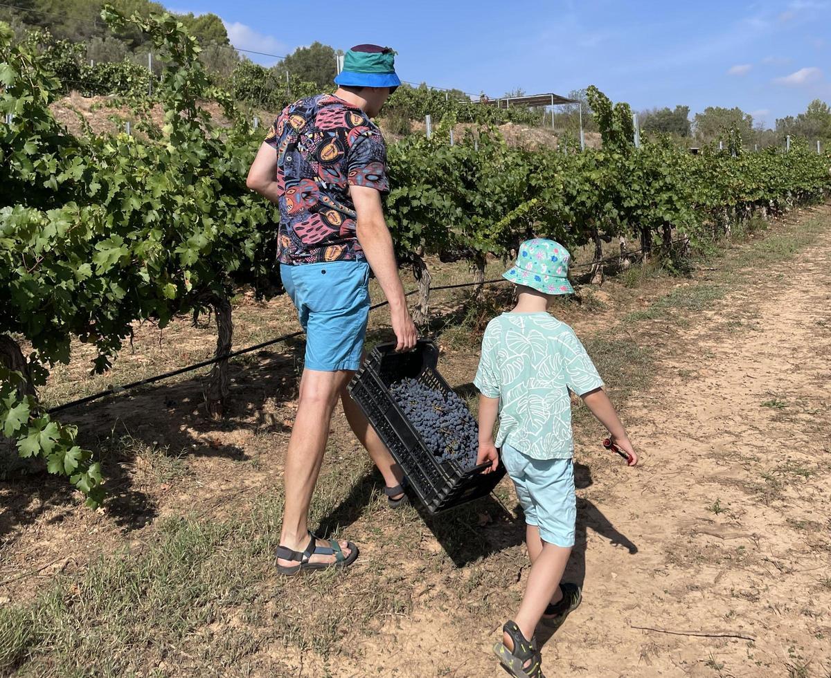 Al turismo internacional se le ofrecen visitas guiadas en inglés.