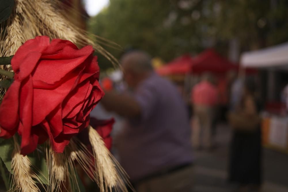 Dia del Llibre i de la Rosa a Manresa