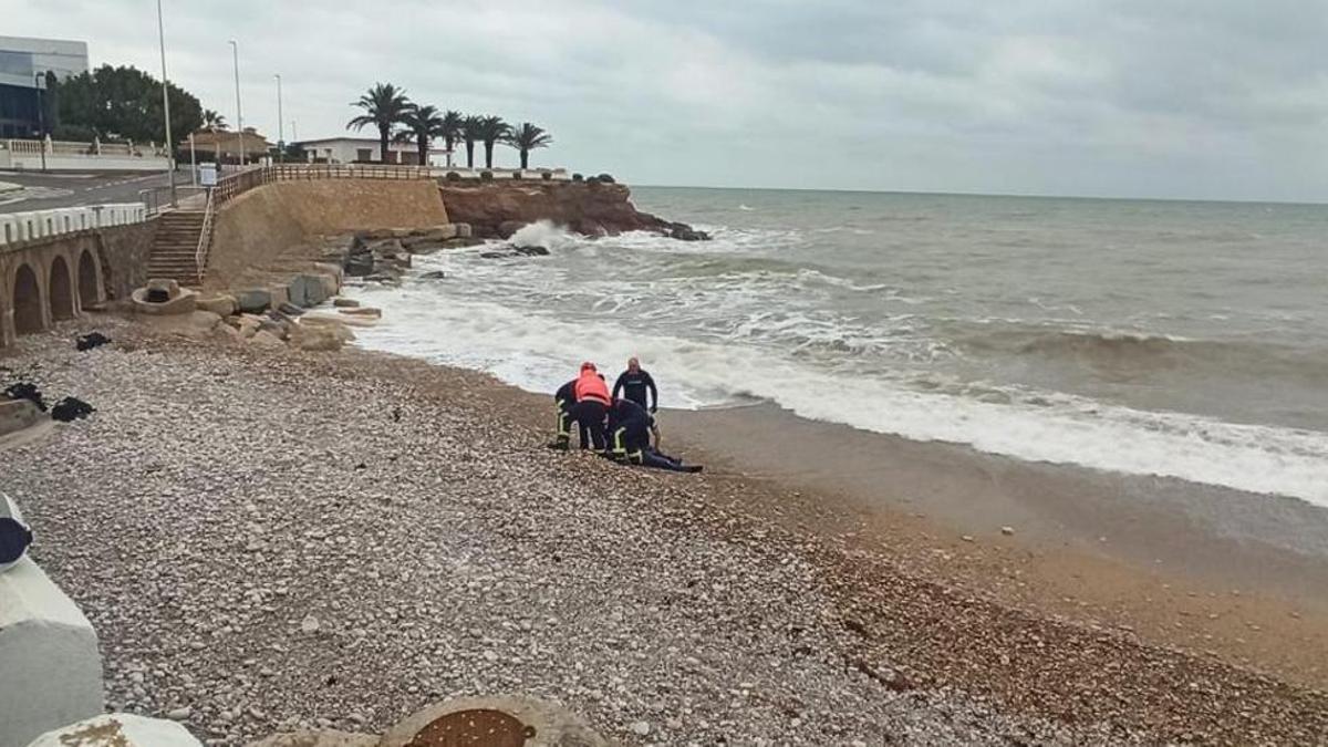 Imagen de archivo del momento en que fue extraido del mar en la cala Montero.