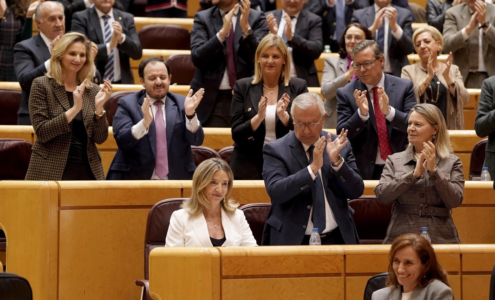 Sesión de control al Gobierno en el Senado.