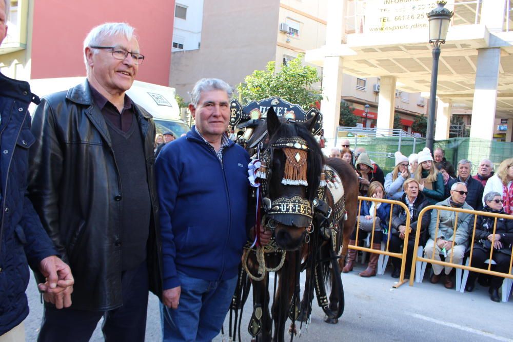 Fiesta de Sant Antoni en la ciudad de València