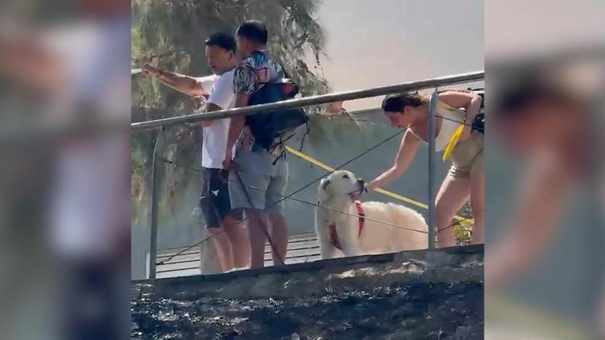 Vecinos ayudan a apagar el fuego en Gavà