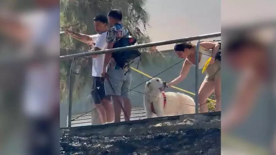 Vecinos ayudan a apagar el fuego en Gavà