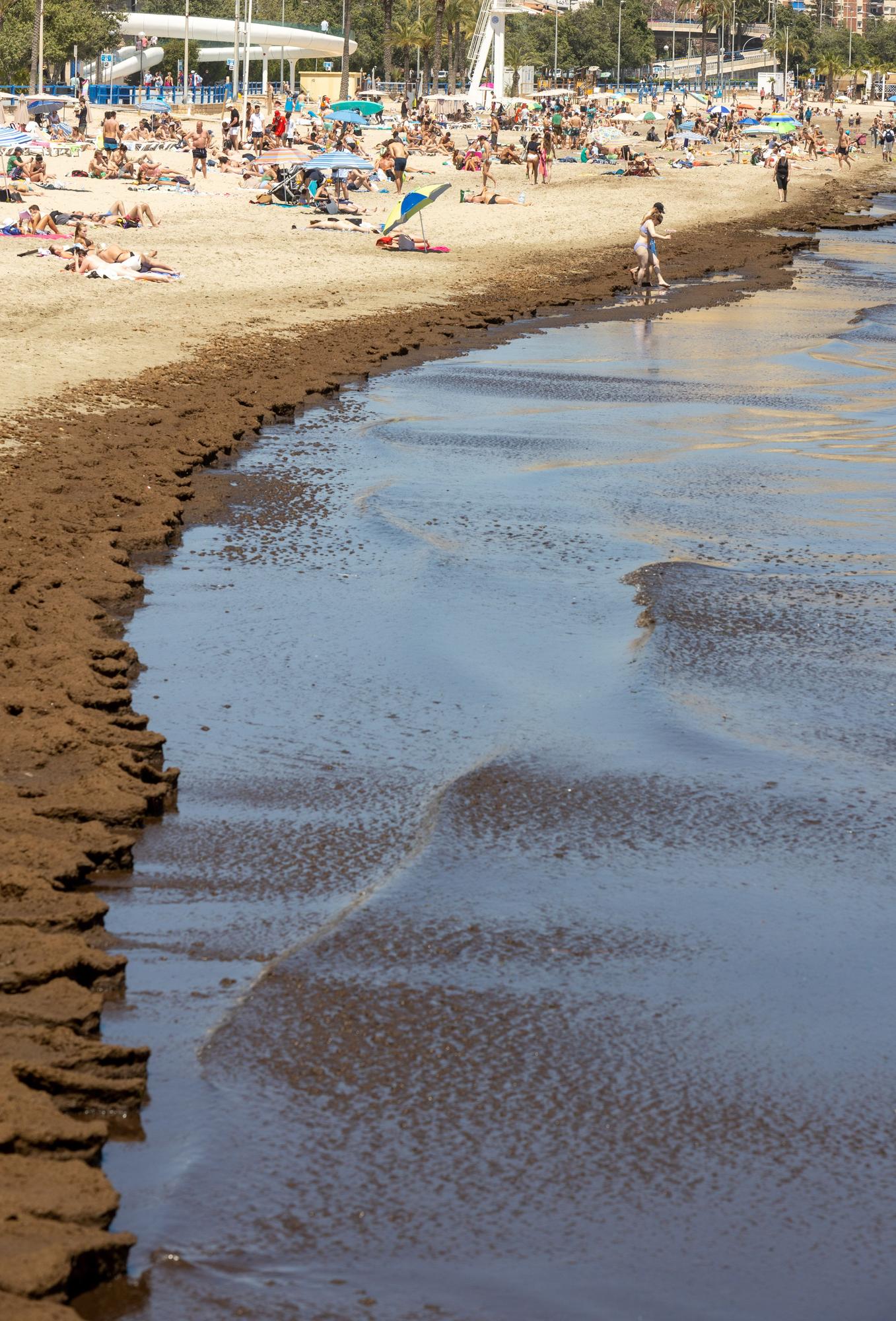 Las Playas de Alicante ya están preparadas para recibir a los turistas