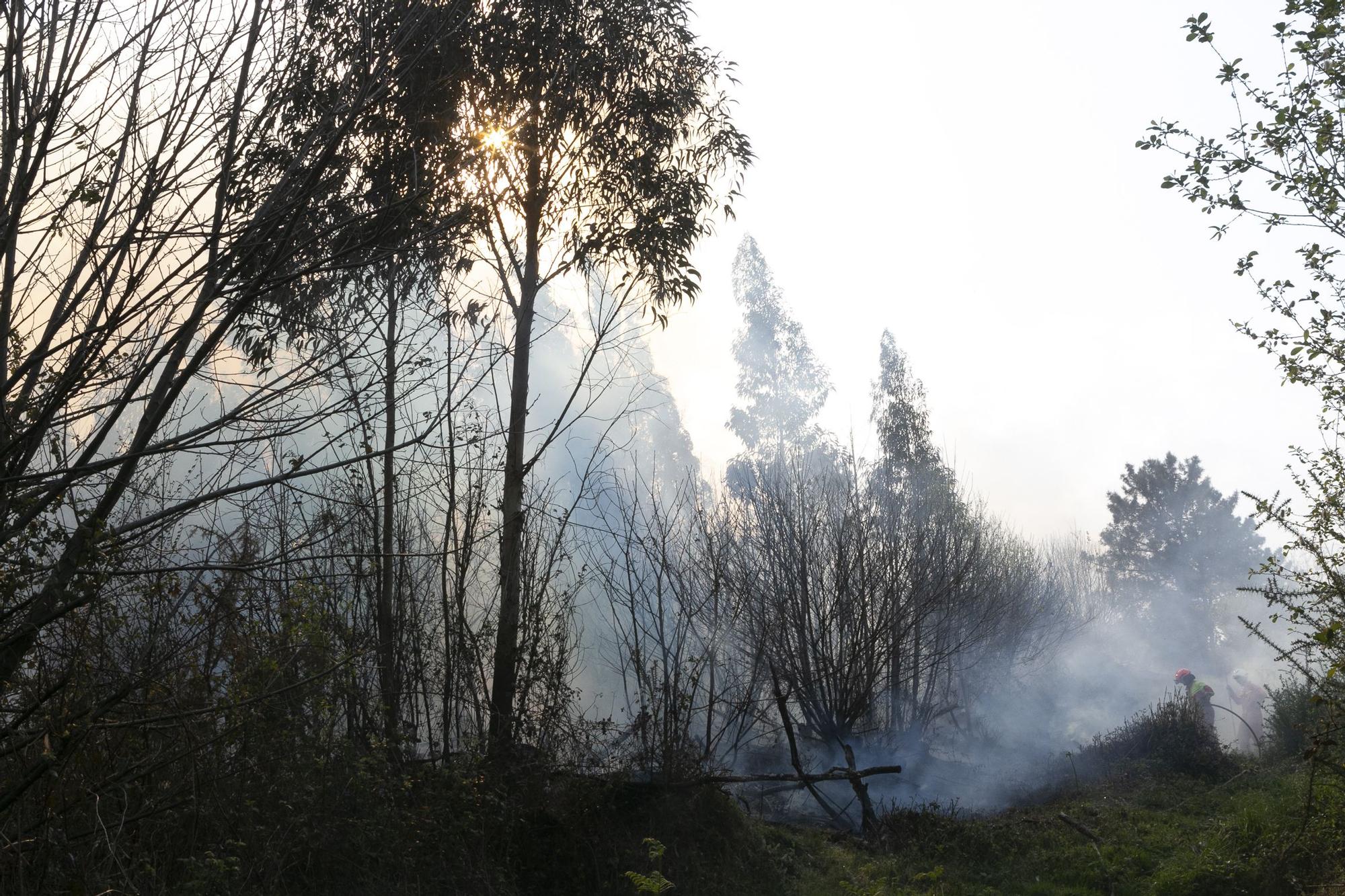 EN IMÁGENES: la extinción del fuego de La Plata (Castrillón), minuto a minuto