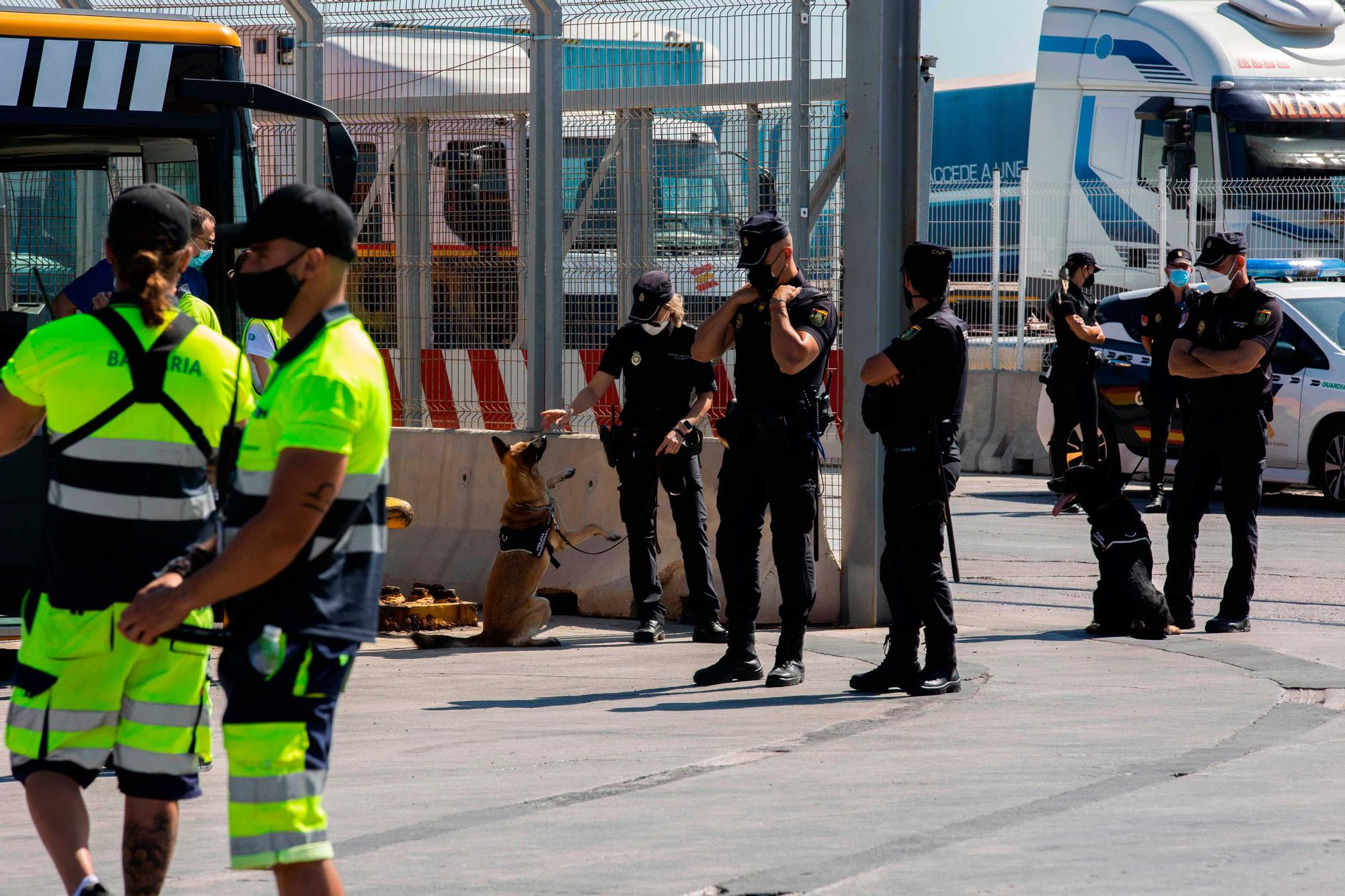 Llegan a Valencia 118 estudiantes de los confinados tras el macrobrote de Mallorca