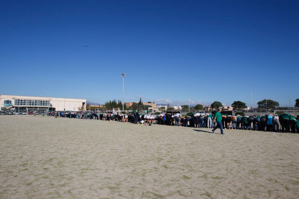Casi 800 personas reclaman un nuevo campo de rugby en Palma