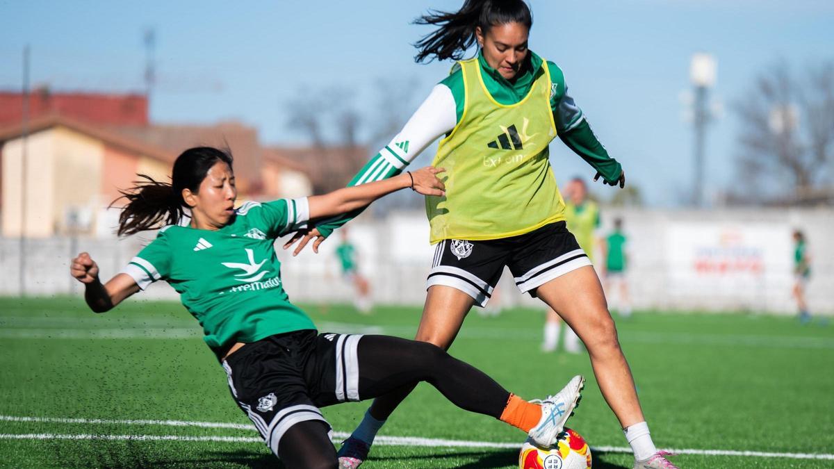 Jugadoras del Cacereño Femenino durante el entrenamiento de este martes en Pinilla.
