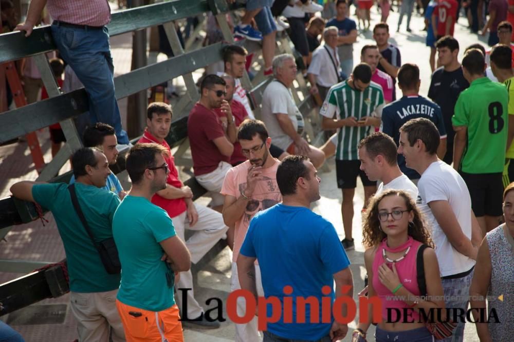 Quinto encierro en Calasparra