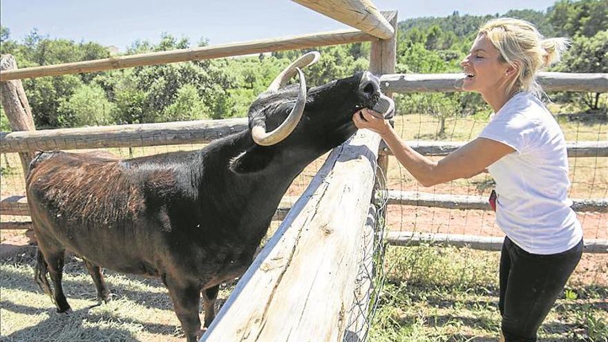 Movilización para salvar a la vaca ‘margarita’