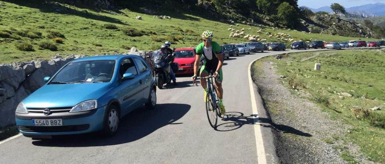 Cangas de Onís exige un &quot;plan B&quot; para evitar atascos en el acceso a los Lagos